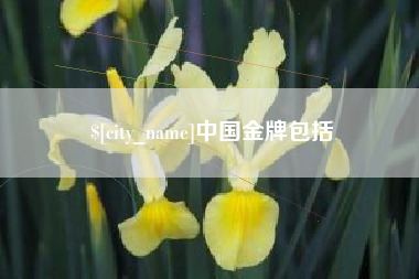范县中国金牌包括