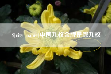 范县中国九枚金牌是哪九枚