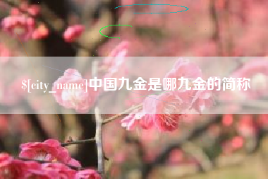 范县中国九金是哪九金的简称