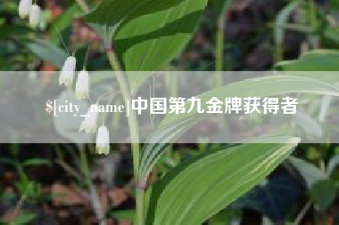 范县中国第九金牌获得者