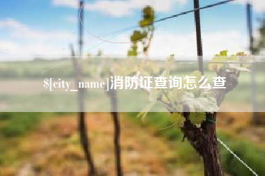范县消防证查询怎么查
