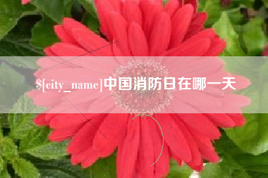 范县中国消防日在哪一天