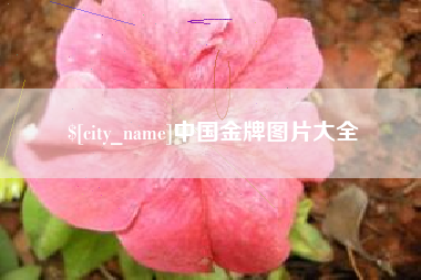 范县中国金牌图片大全