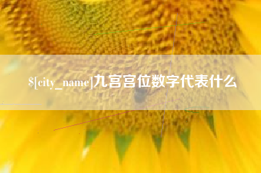 范县九宫宫位数字代表什么