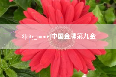 范县中国金牌第九金