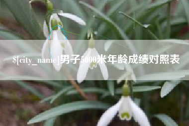 范县男子5000米年龄成绩对照表
