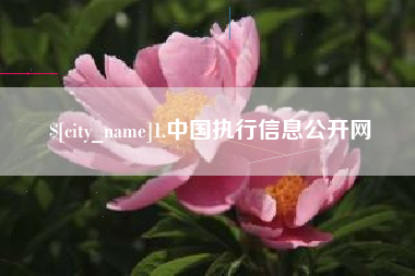 范县1.中国执行信息公开网
