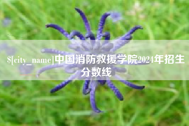范县中国消防救援学院2024年招生分数线