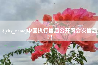 范县中国执行信息公开网会发信息吗