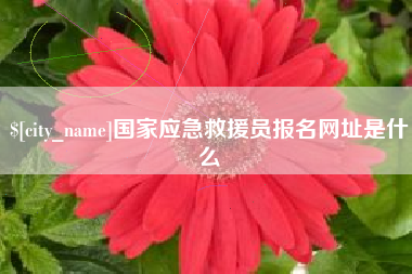 范县国家应急救援员报名网址是什么