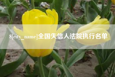 范县全国失信人法院执行名单