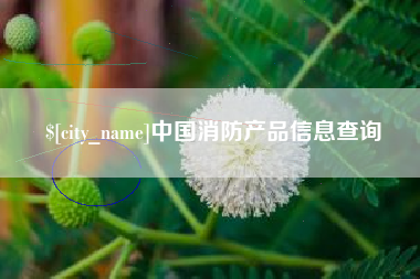 范县中国消防产品信息查询