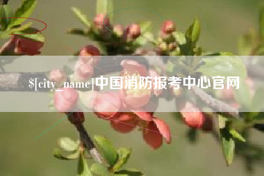 范县中国消防报考中心官网