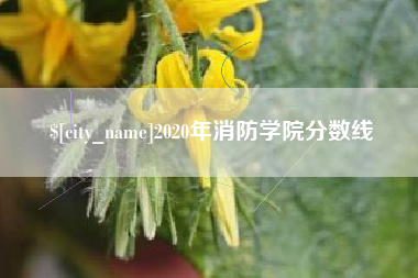 范县2020年消防学院分数线