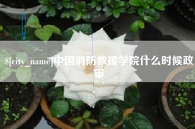 范县中国消防救援学院什么时候政审