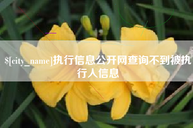 范县执行信息公开网查询不到被执行人信息