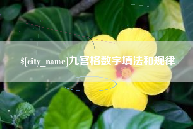范县九宫格数字填法和规律