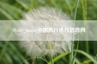 范县中国执行执行信息网