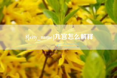 范县九宫怎么解释