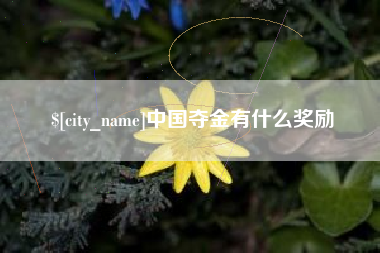 范县中国夺金有什么奖励