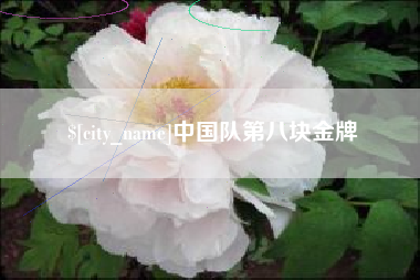 范县中国队第八块金牌