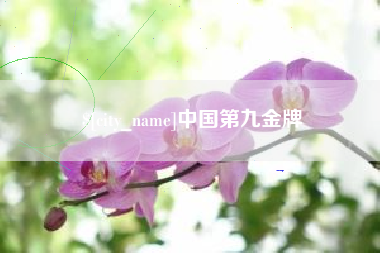 范县中国第九金牌