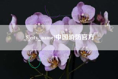 范县中国消防官方