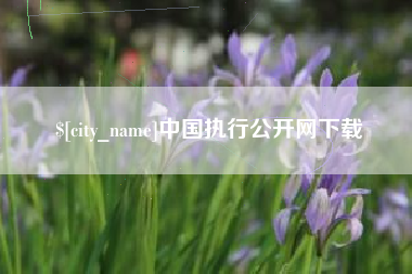 范县中国执行公开网下载