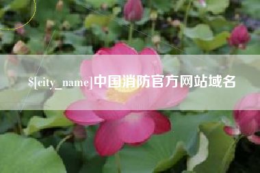 范县中国消防官方网站域名