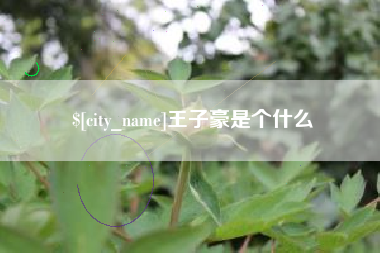 范县王子豪是个什么
