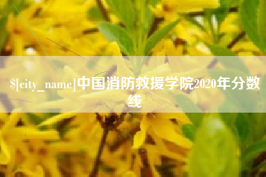 范县中国消防救援学院2020年分数线