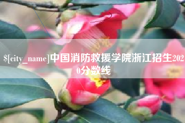 范县中国消防救援学院浙江招生2020分数线