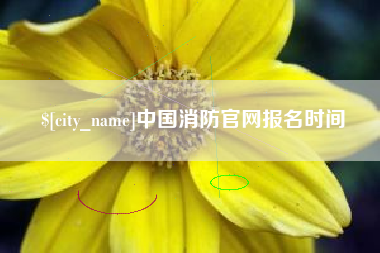 范县中国消防官网报名时间