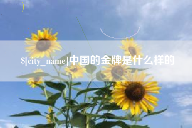 范县中国的金牌是什么样的