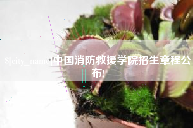 范县中国消防救援学院招生章程公布!