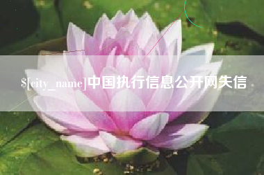 范县中国执行信息公开网失信
