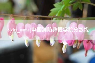 范县中国消防救援学院分数线