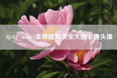 范县金牌图片大全大图卡通头像