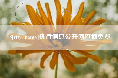 范县执行信息公开网查询免费