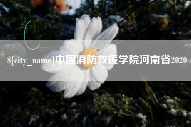 范县中国消防救援学院河南省2020